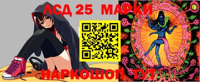 ПСИЛОЦИБИНОВЫЕ ГРИБЫ Гусев