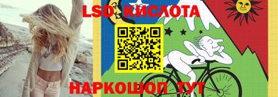 ПСИЛОЦИБИНОВЫЕ ГРИБЫ Гусев
