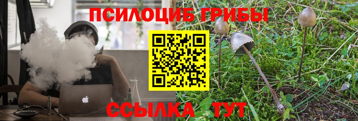 Выкса  Псилоцибиновые грибы прущие грибы  Галлюциногенные грибы прущие грибы  Вход с VPN 
