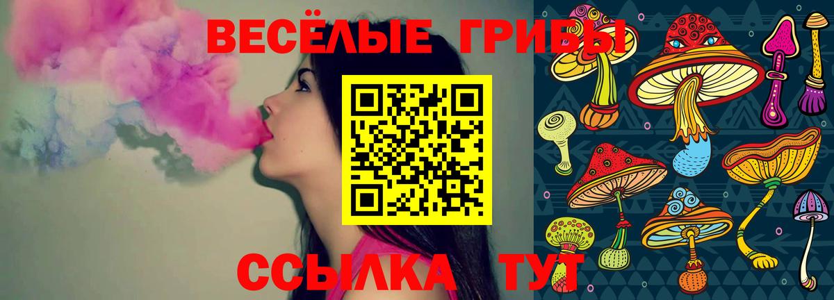Псилоцибиновые грибы Psilocybe Выкса